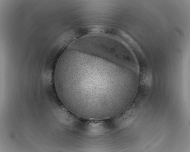 X0000111600560200907161555