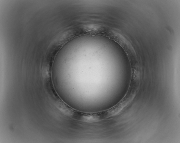 X0000111600561200907161555