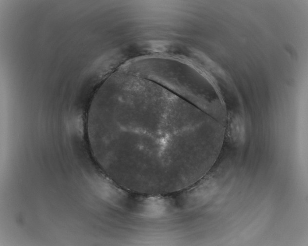 X0000111600562200907161555