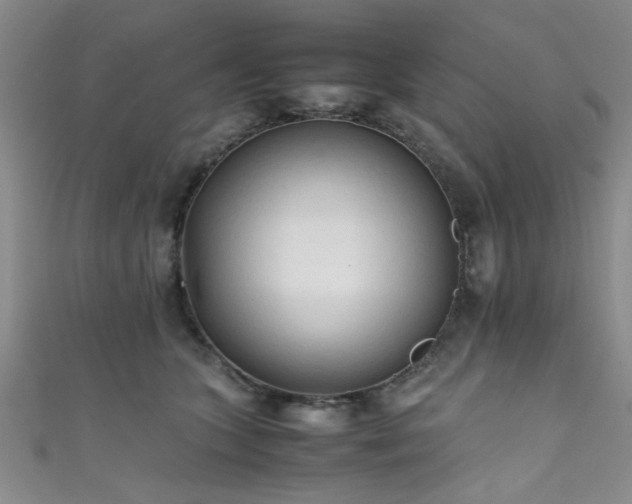 X0000111600563200907161555