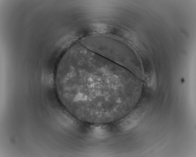 X0000111600564200907161555