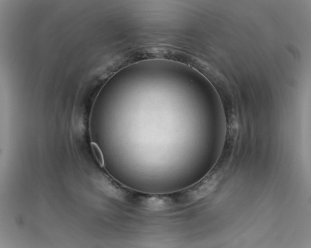 X0000111600566200907161555