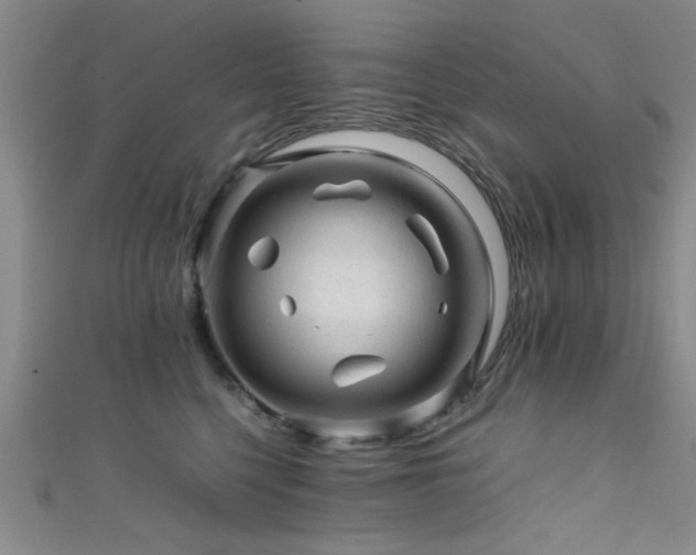 X0000111600568200907161555