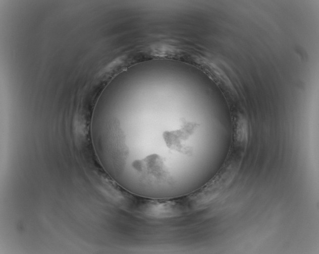 X0000111600569200907161555