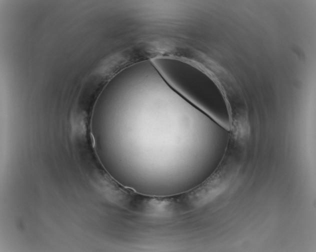 X0000111600570200907161555