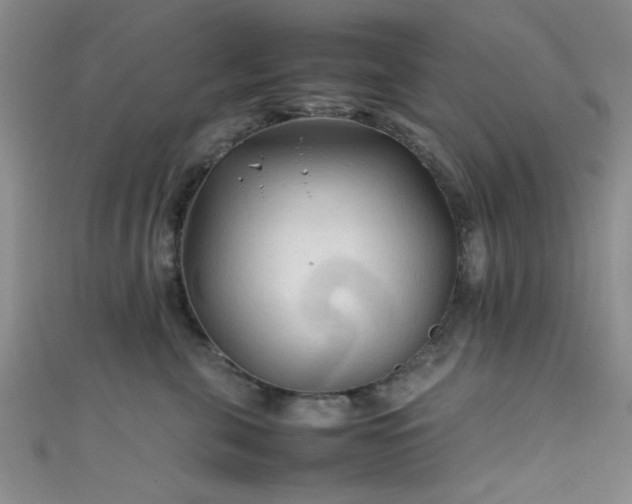 X0000111600571200907161555