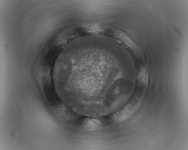 X0000111600572200907161555