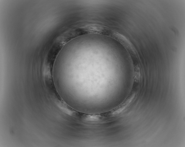 X0000111600573200907161555