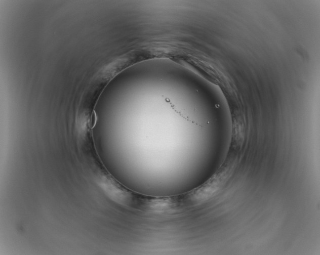 X0000111600574200907161555