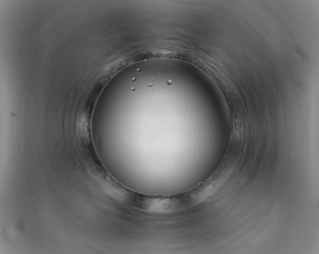 X0000111600575200907161555