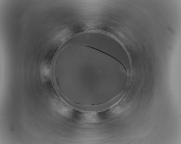 X0000111600576200907161555