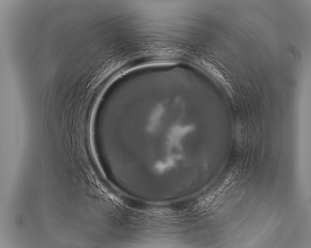 X0000111600577200907161554