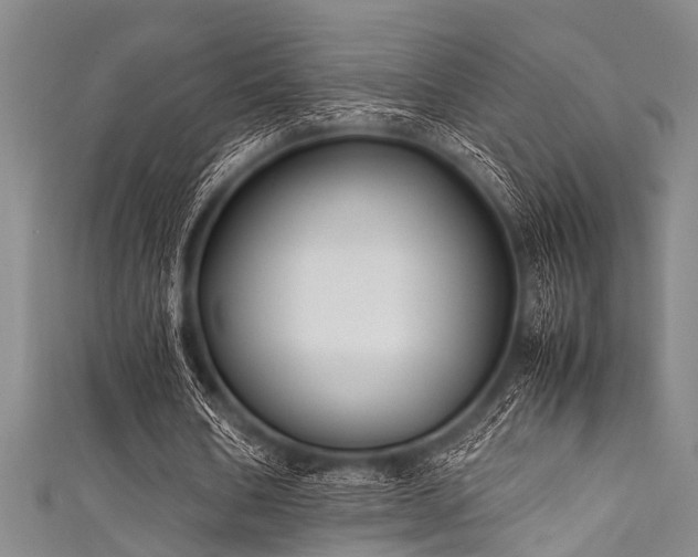 X0000111600578200907161554
