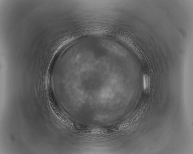 X0000111600579200907161554