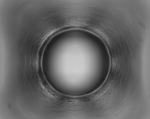 X0000111600580200907161554