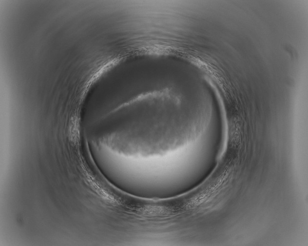 X0000111600581200907161554