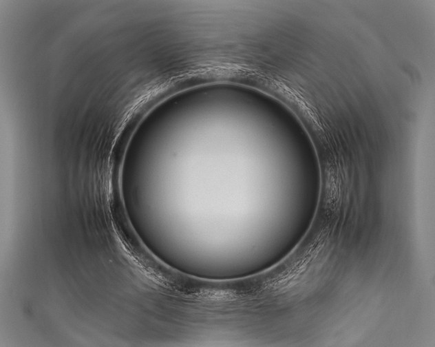 X0000111600582200907161554