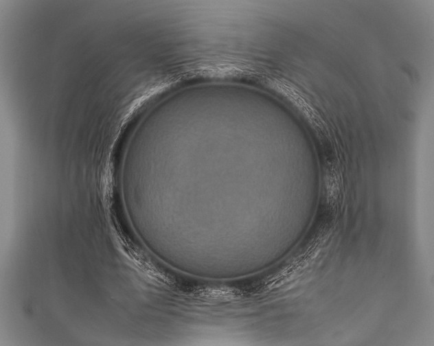 X0000111600583200907161554