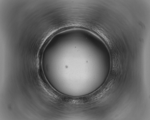 X0000111600584200907161554