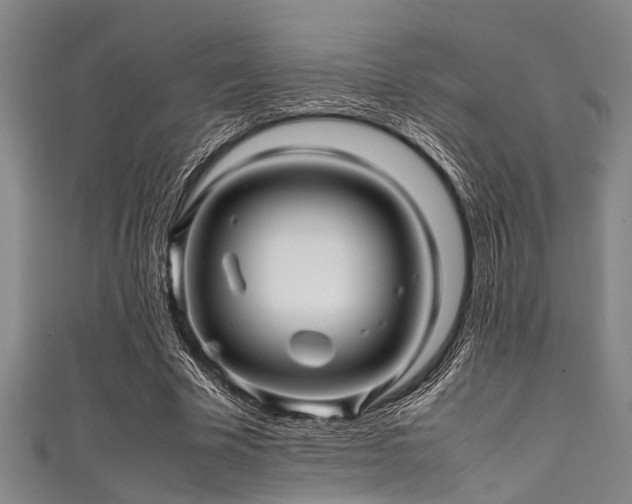 X0000111600585200907161554