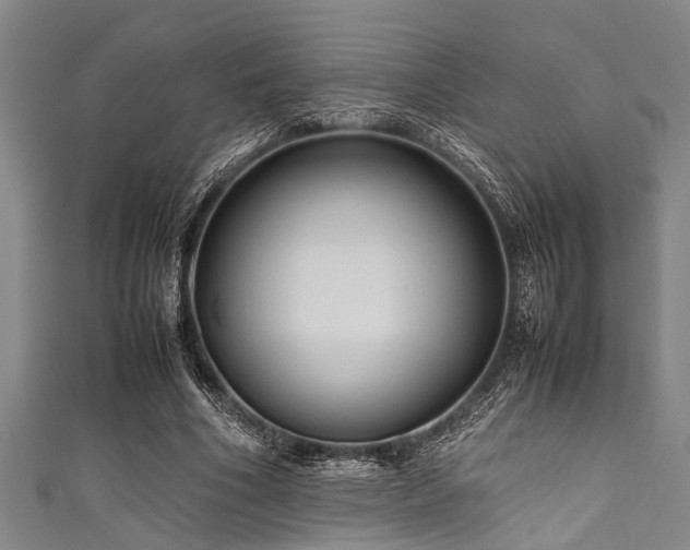 X0000111600586200907161554