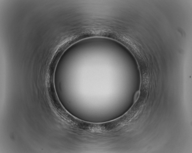 X0000111600587200907161554