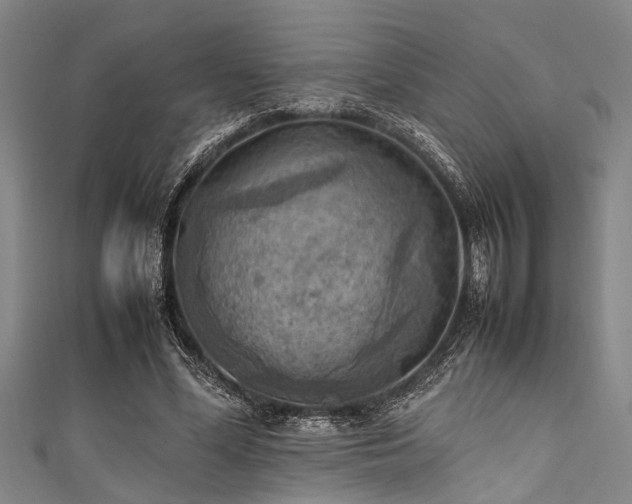 X0000111600588200907161554