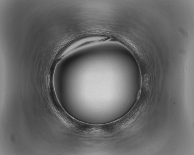 X0000111600589200907161554