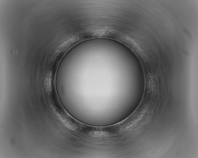 X0000111600590200907161554