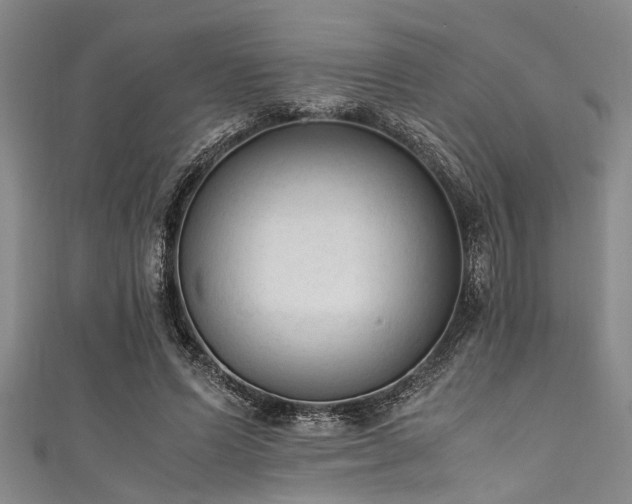 X0000111600591200907161554