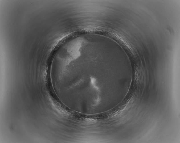 X0000111600592200907161554