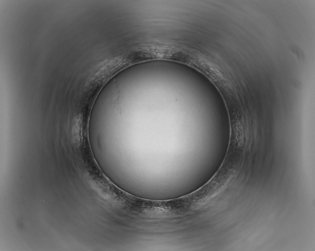 X0000111600594200907161554