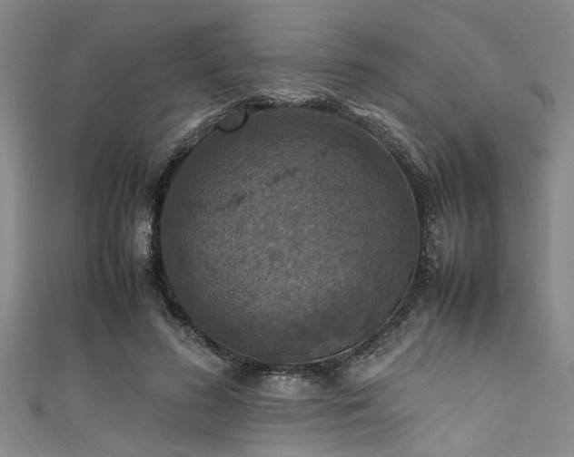 X0000111600596200907161554