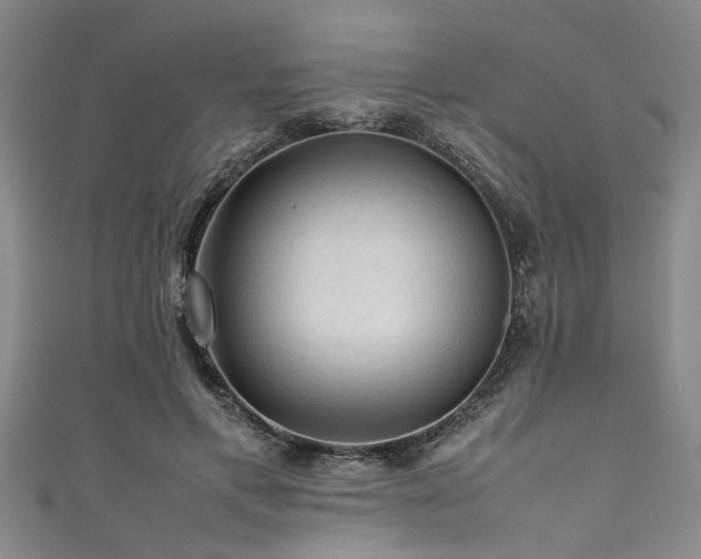 X0000111600597200907161554