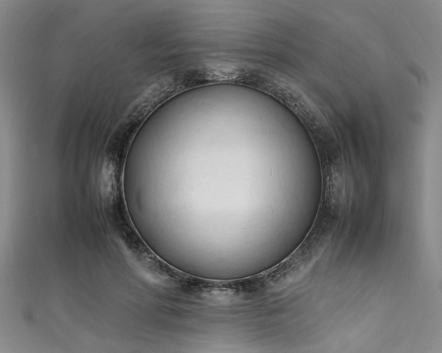 X0000111600598200907161554