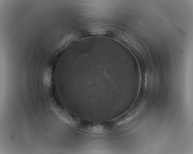 X0000111600600200907161554
