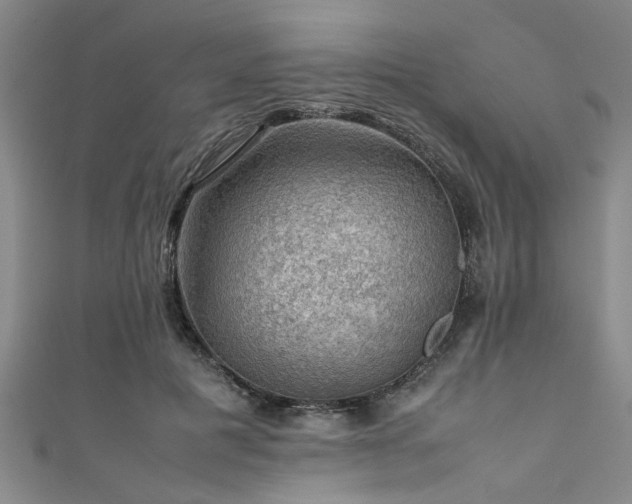 X0000111600601200907161554