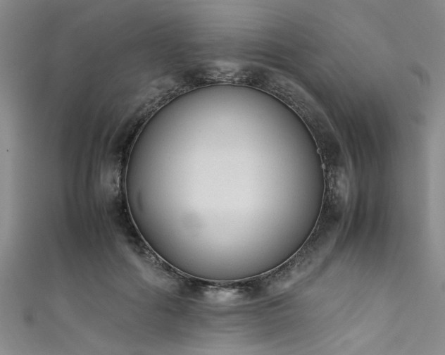 X0000111600602200907161554