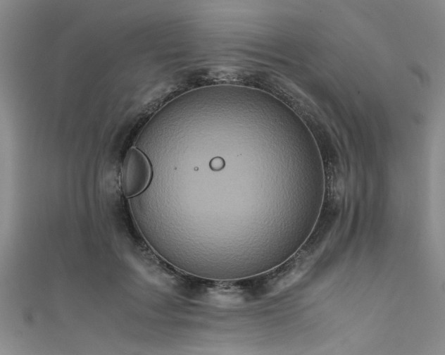 X0000111600603200907161554