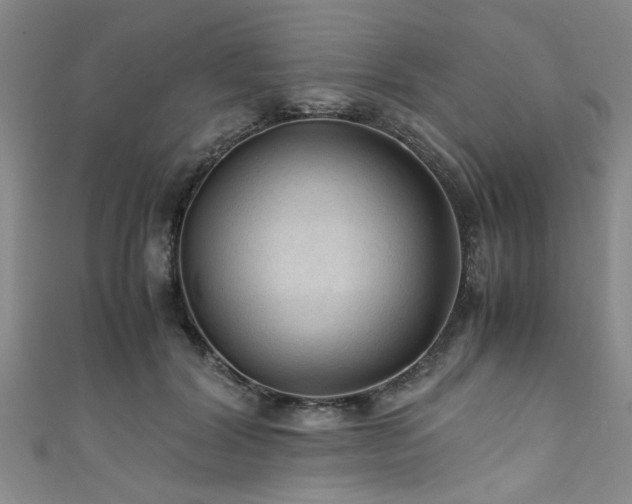 X0000111600604200907161554