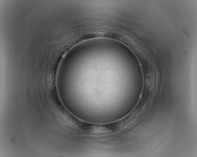 X0000111600605200907161554