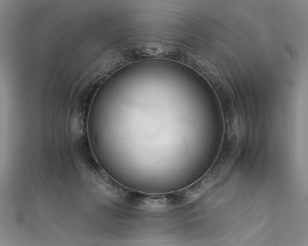 X0000111600606200907161554