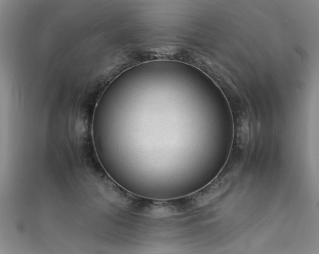 X0000111600608200907161554
