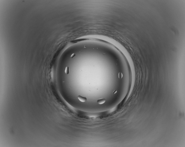 X0000111600609200907161554