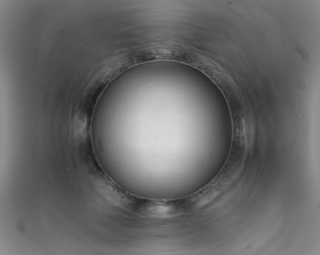 X0000111600610200907161554