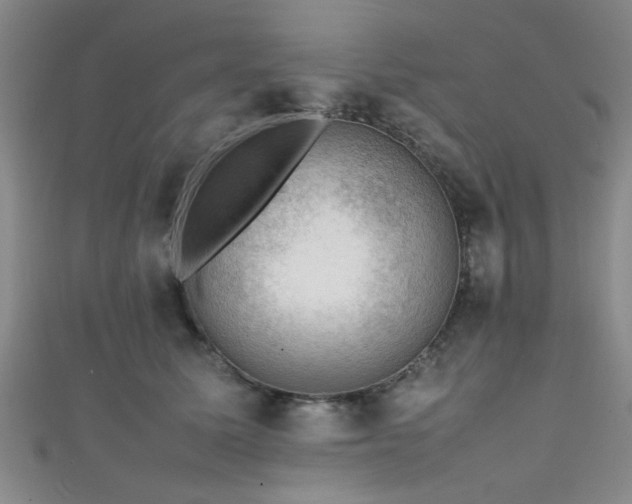 X0000111600611200907161554