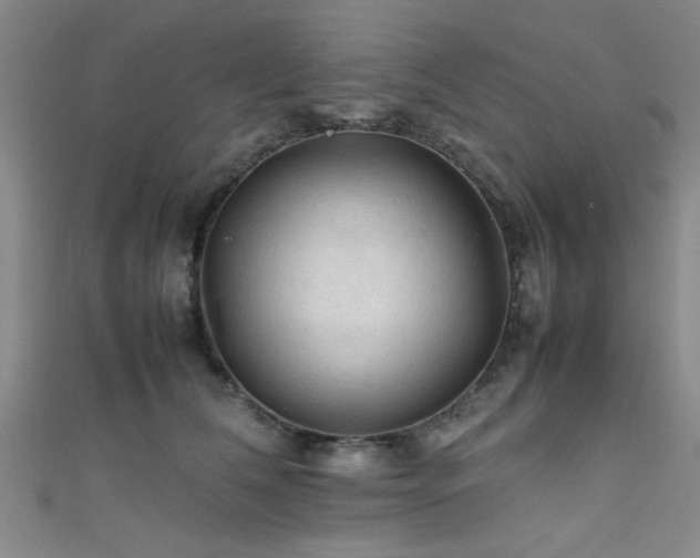 X0000111600612200907161554