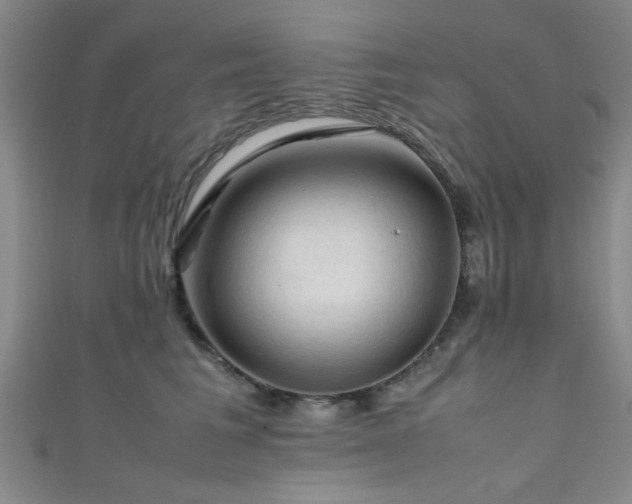 X0000111600613200907161554
