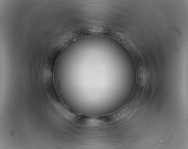 X0000111600614200907161554