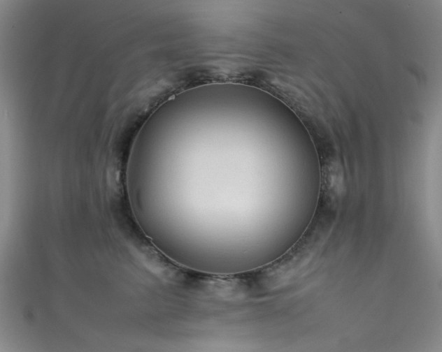 X0000111600615200907161554